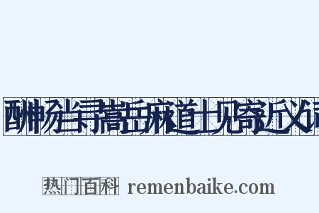 酬畅当寻嵩岳麻道士见寄近义词是什么意思的图片